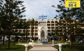 Hotel Amir Palace