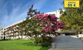 Lebed Hotel