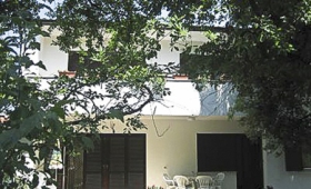 Vida 4