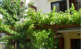 Apartmány 1349-83