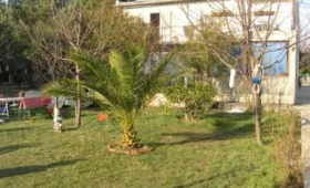 Apartmán 1350-294