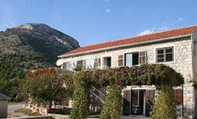 Ubytování Bol (Brač) – 2879