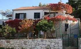 Ubytování Splitska (Brač) – 2923