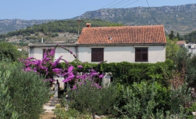 Ubytování Bol (Brač) – 5605