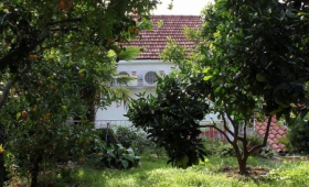 Ubytování Trsteno (Dubrovnik) – 4746