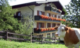 Hotel-Garni Haflingerhof