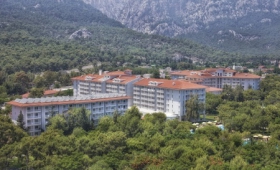 Akka Antedon