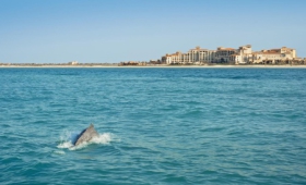 The St. Regis Saadiyat Island Resort