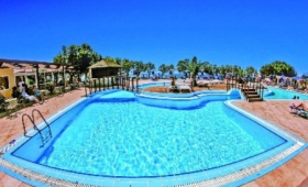 Dessole Blue Star – Economy