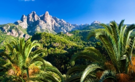Sardínia (Marina Country) + Korzika (Marina Viva)