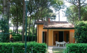 Dogi Sud