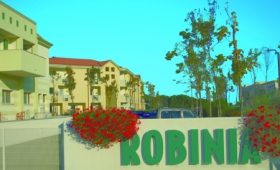 Rezidence Robinia A Pinetine