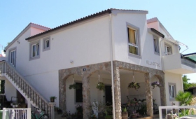 Vila Petrić