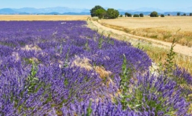 Krásy Provence a Azurové pobřeží (Hotel)