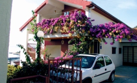 Demir4