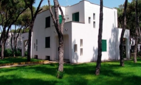 Giulivo