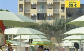 Panoramic