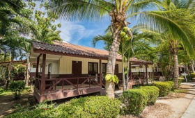Coco Palm Beach