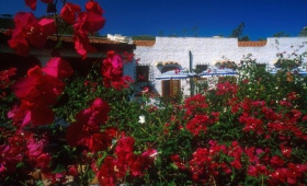 Le Calette Garden & Bay