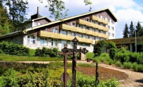 Srní