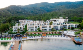 The Norm Collection Door’a