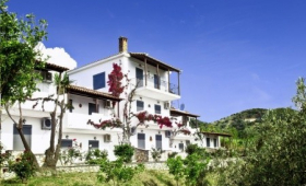 Telis (Agia Paraskevi)