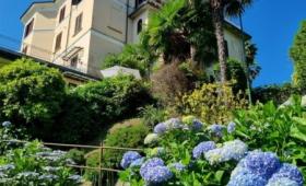 Apartmán Camelie (Baveno)