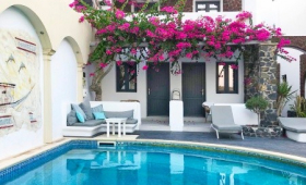 Bougain Villas
