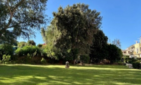 Porto Rotondo Village 2