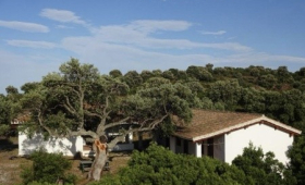 Agriturismo Conca‘ E Janas (Golfo Di Orosei)