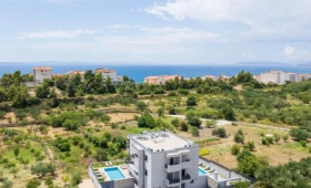 Villa David 1
