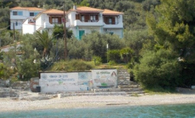 Studia Azalea View