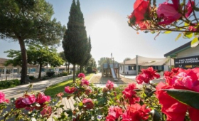 Natural Village Resort (Potenza Picena)